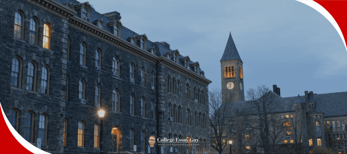 Cornell Acceptance Rate Official Common Data Set 2023