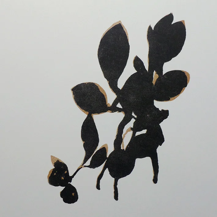 Extract_sprig.jpg