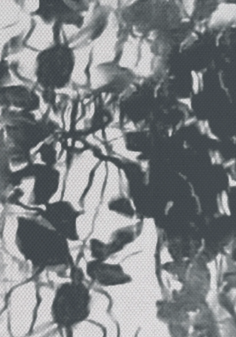 FABRICS-hidden-waters-green.jpg