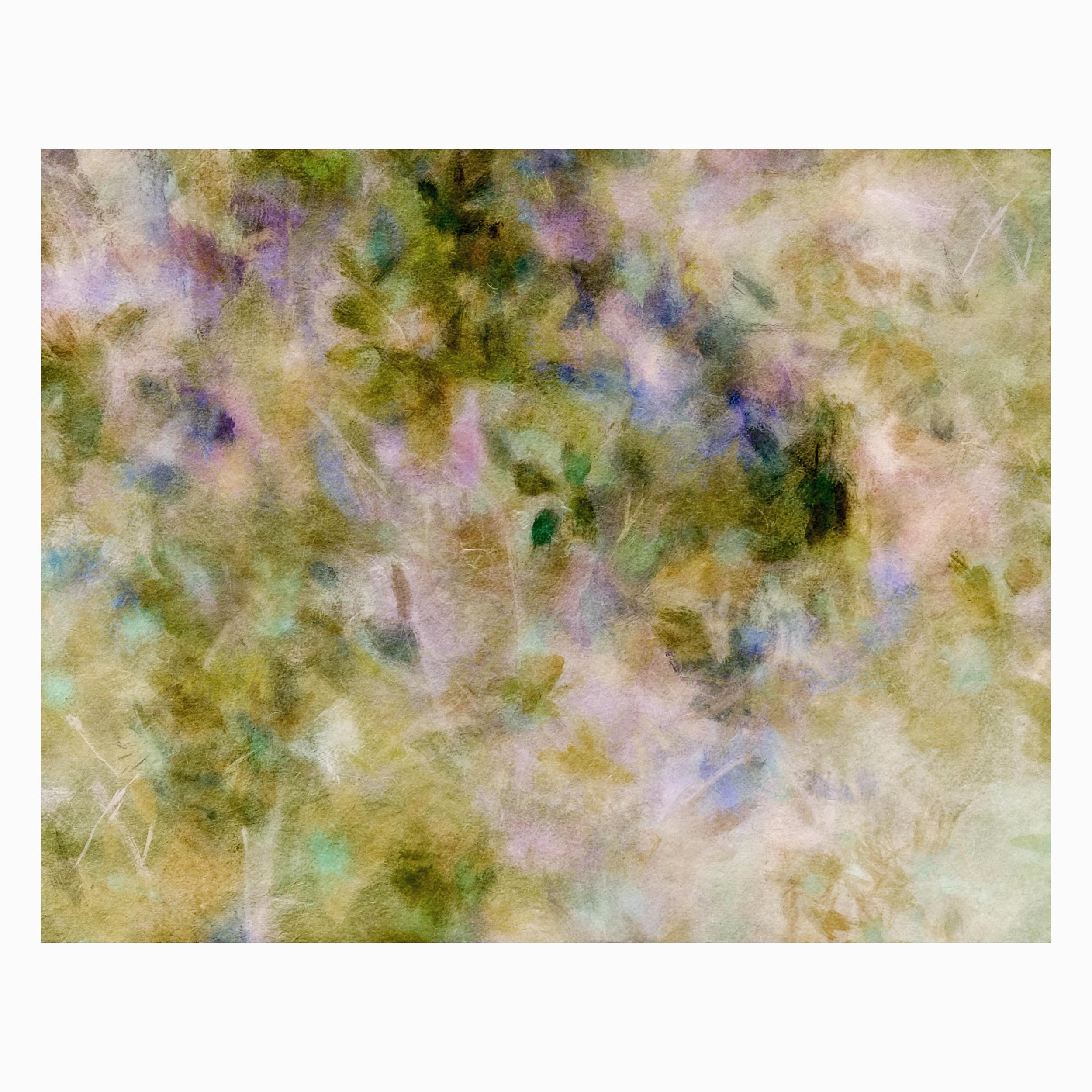 G l i m p s e
photo{painting}photo
#wip #painting #photography #floral
@westdeanfineart #westdeancollege