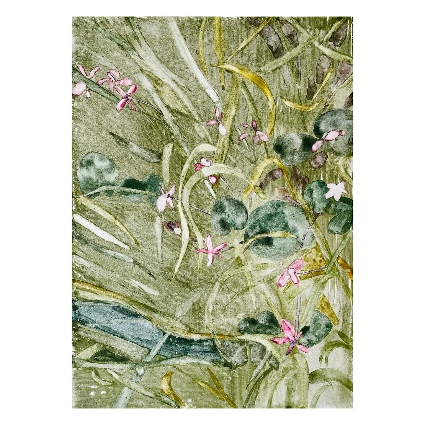 Explorations in printmaking during the final stages of my MFA programme.
@westdeanfineart 

Followed by a meditative meander (surrounded by wild flowers) amidst the peaceful site of Woodvale cemetery 🕊️🌿

#drawing #painting #printmaking 
#monotypep