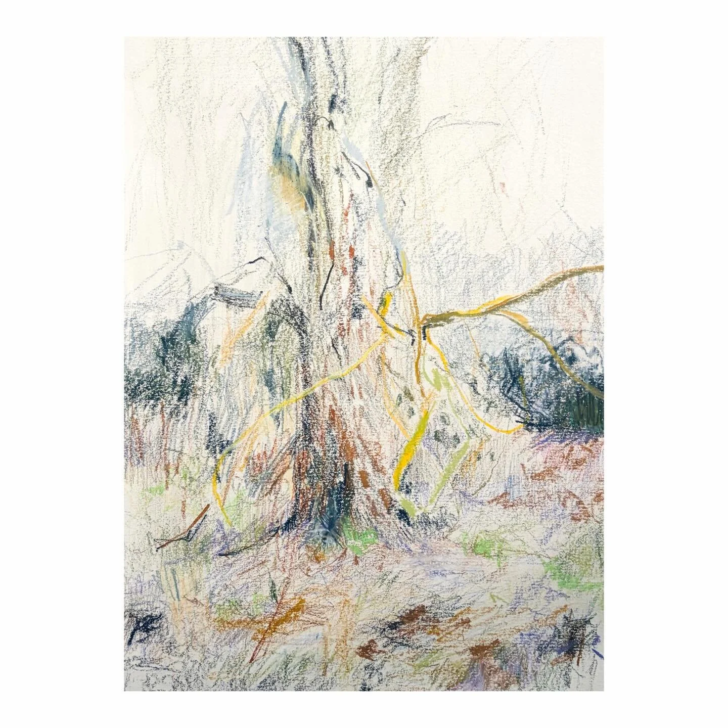 First day of Spring.
Drawing on paper.

#drawing #landscape