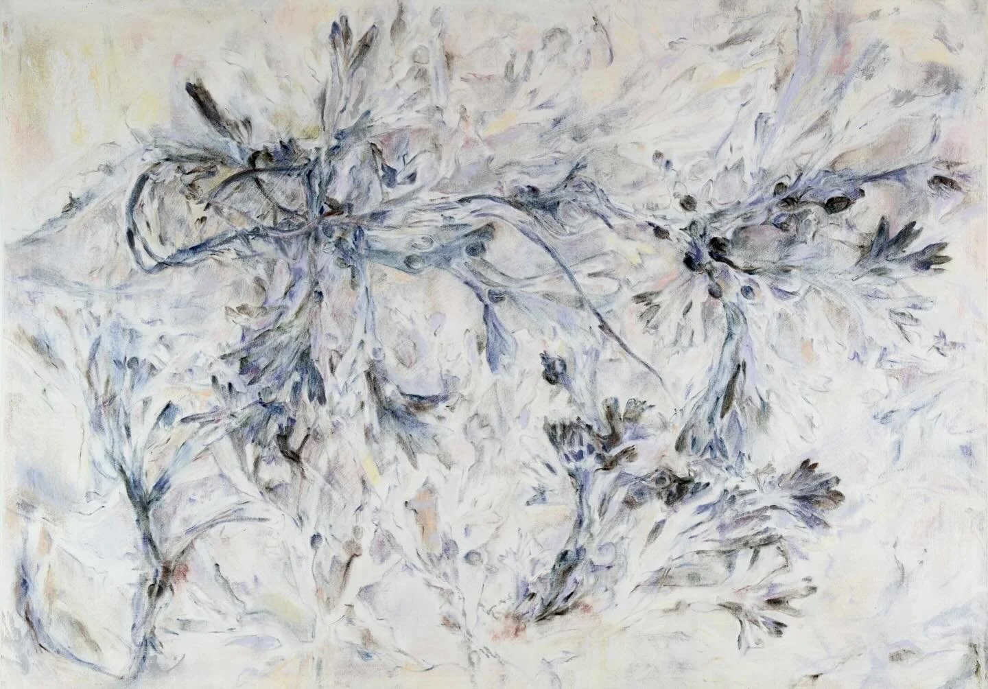 Post-storm coastal walks reveal intricately entangled algae embedded in chalk sediment along the nearby shoreline. These have inspired slow drawing practices using soft pastel colour; helping to navigate a path into 2026.