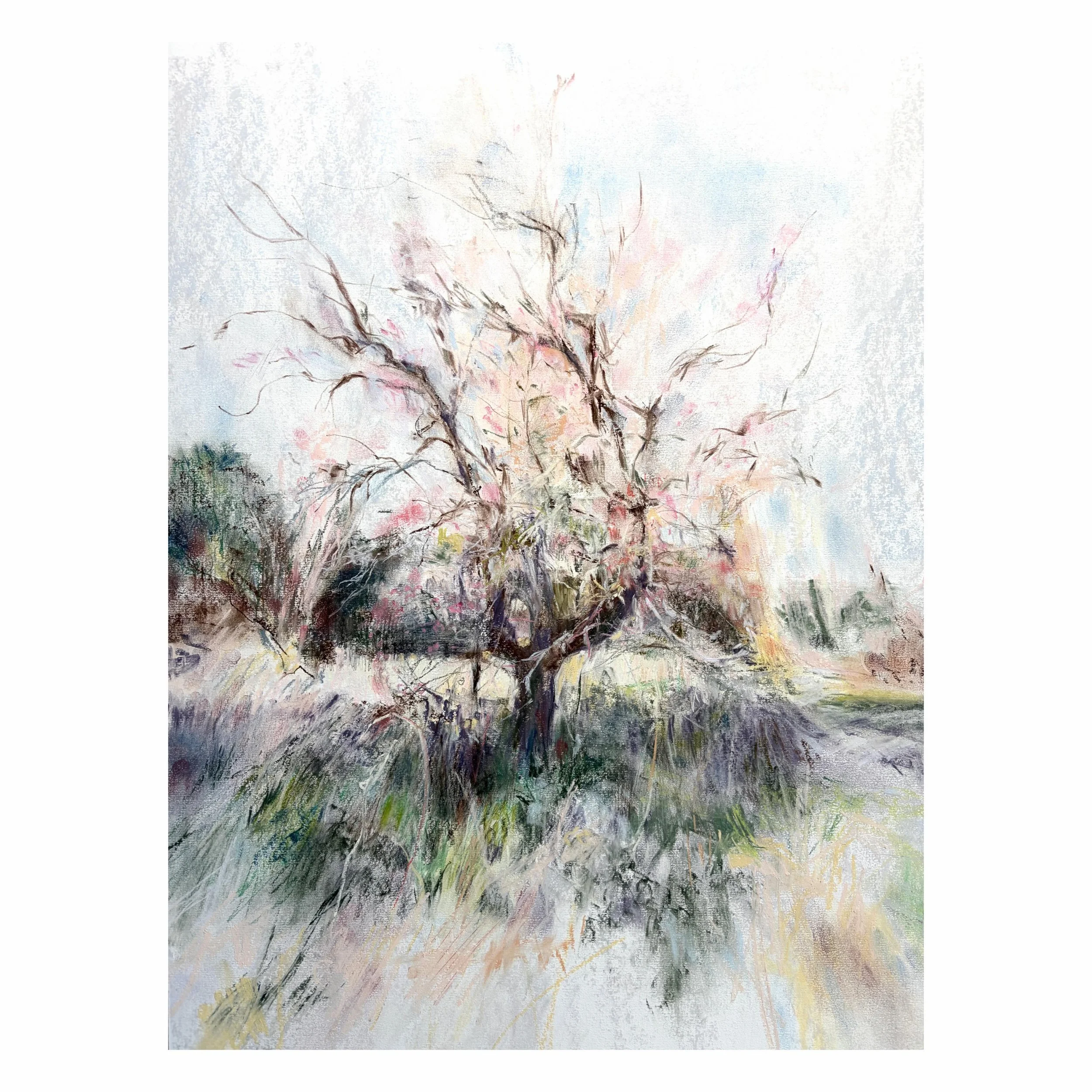 In the Park.
Drawing on paper. 

#sussex #trees #worksonpaper #pastel #colourstudy