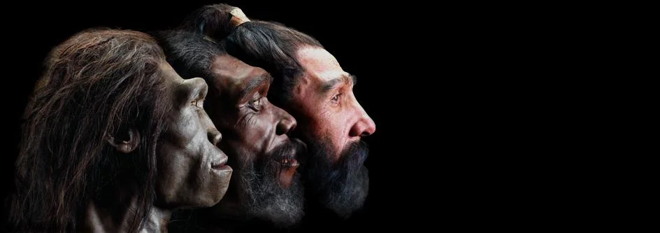 This seems to suggest that the next stage of human evolution is darkness. It might be right.