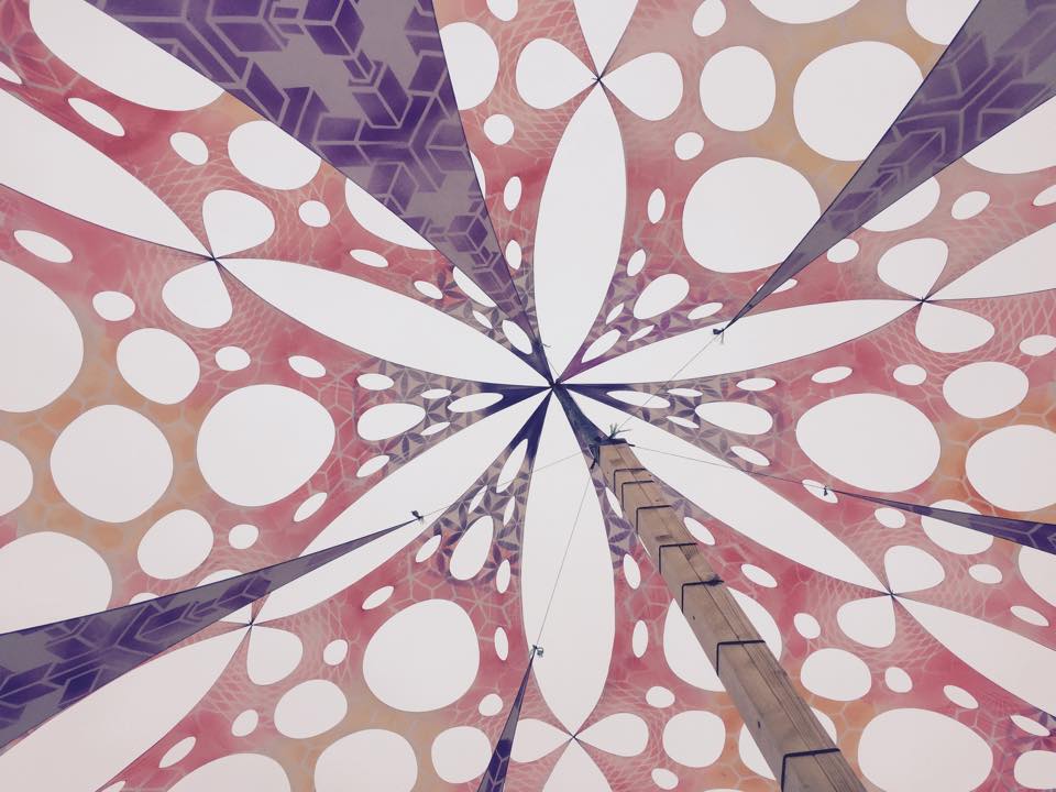 11787437_10207051420662095_859417686_n.jpg