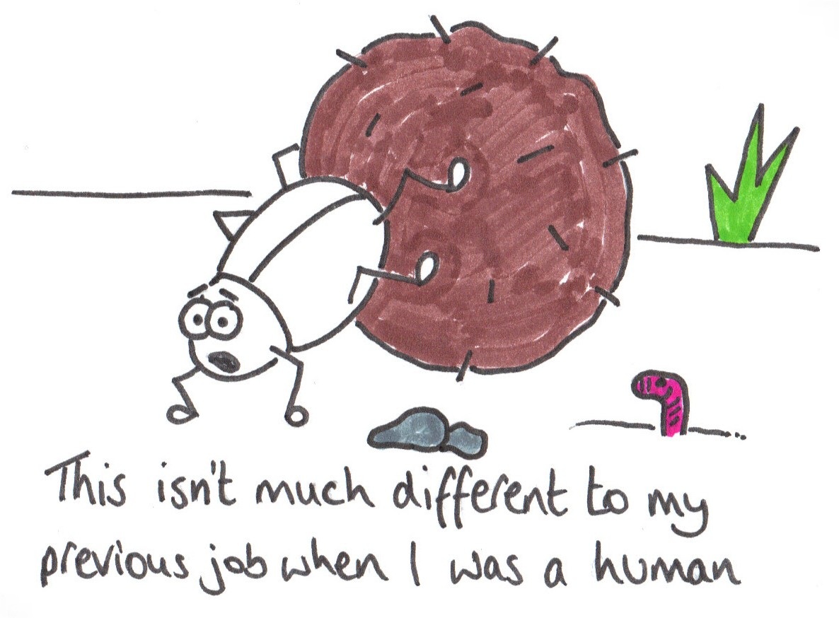 A shitty life. Picture from chrispacke.com