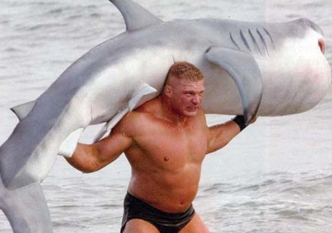 Me! Man! Shark! You die! Photo: thepinkflamingoblog.com