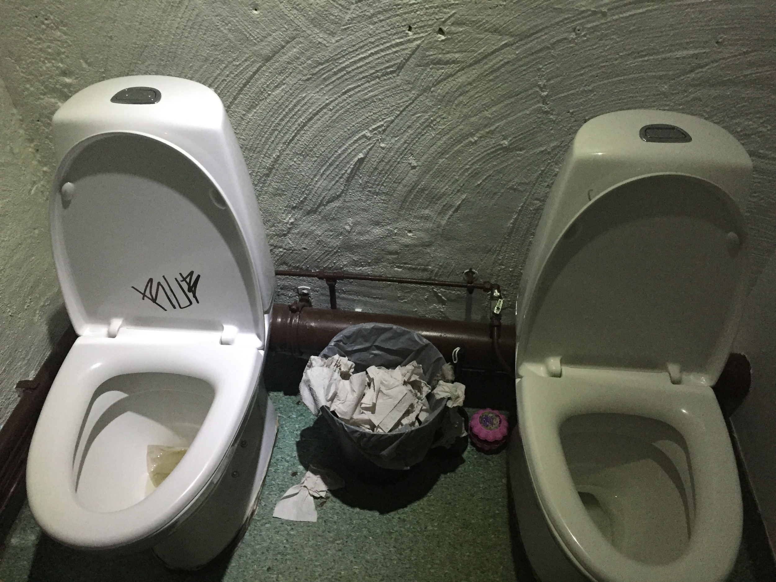 Double toilets. Double fun.