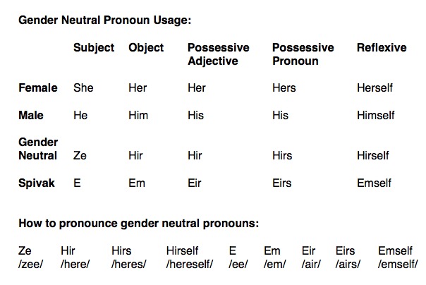Gender Neutral Pronouns. Source: web.mit.edu (or the smartest people on earth)