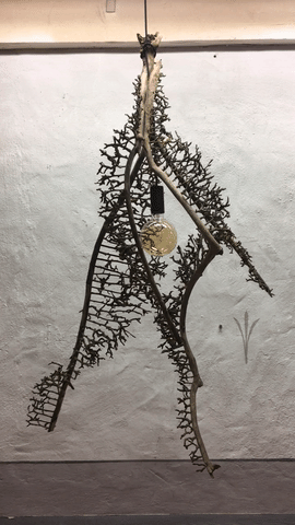The DNA Dance – one of Linn's organic lamps