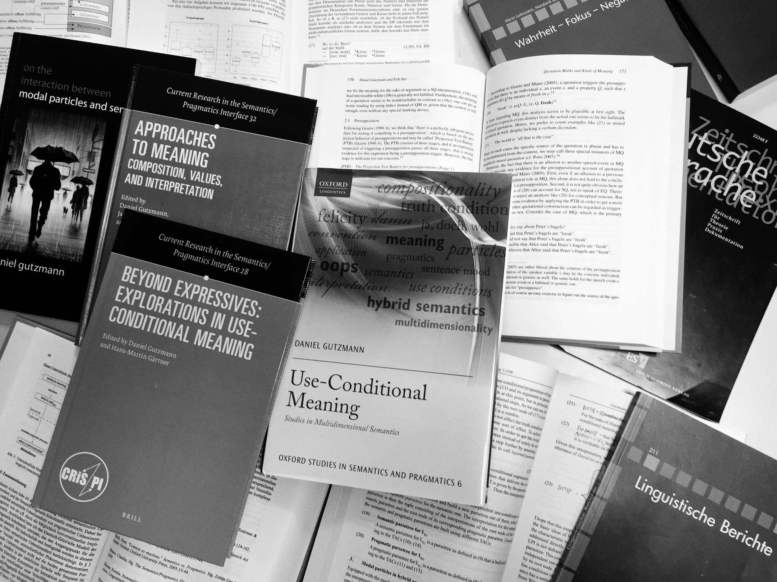 daniel-gutzmann-publications.jpeg