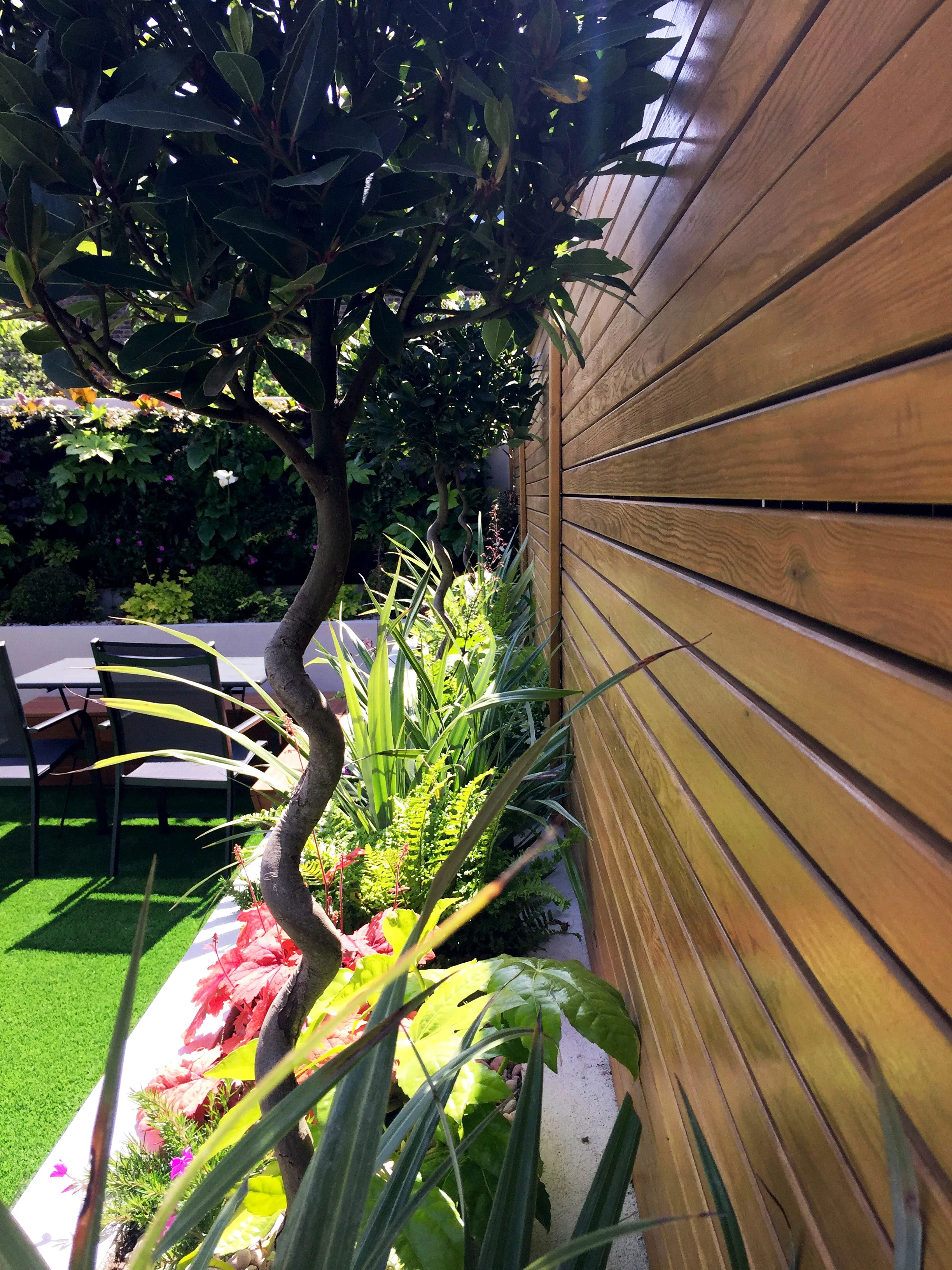 planting-design-2---Gallagher-gardens---Landscaping-Oxford.jpg
