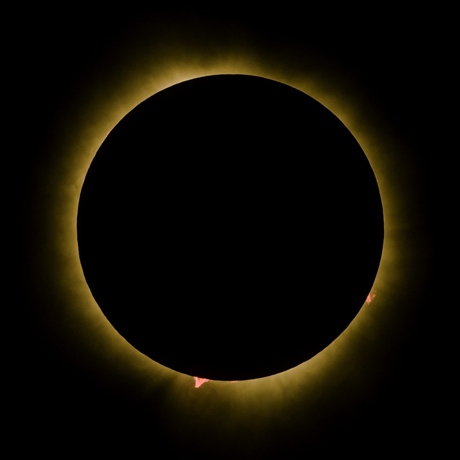 Total solar eclipse: the moon’s black disk ringed by the glowing corona