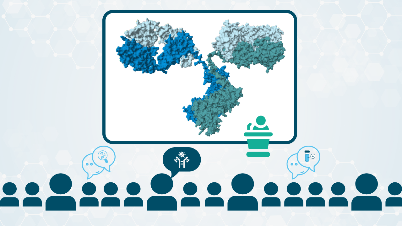 What are the common directions shaping modern antibody discovery? – Reflections from antibody events