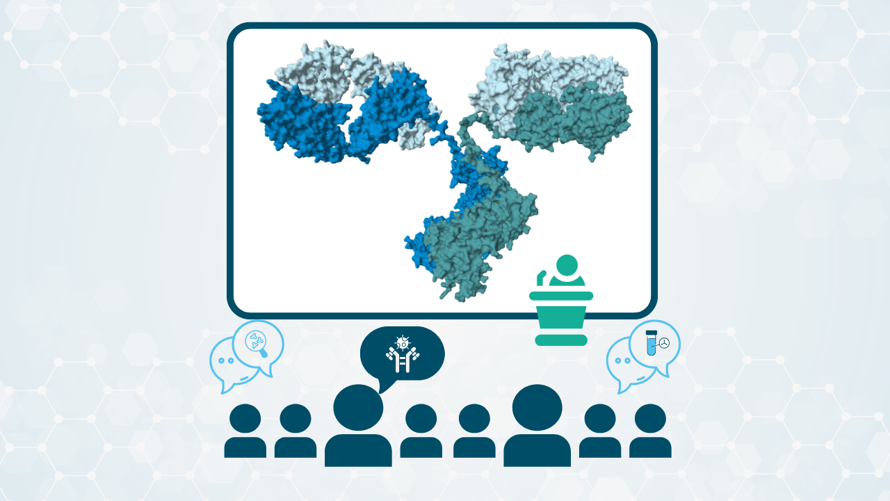 What are the common directions shaping modern antibody discovery? – Reflections from antibody events