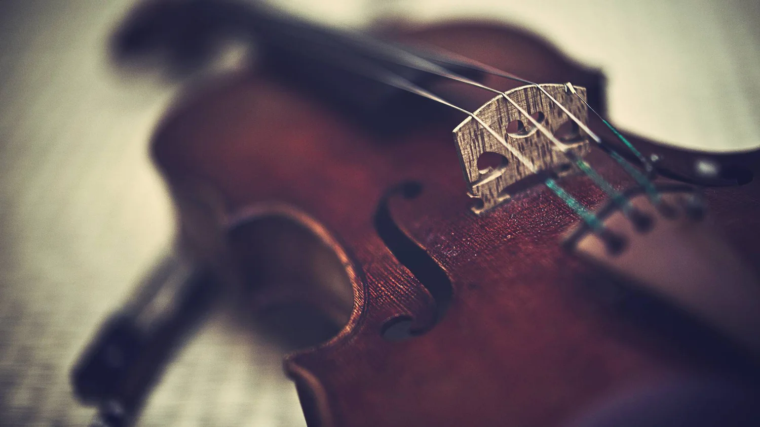 Viola Lessons in Miami, Florida.jpg