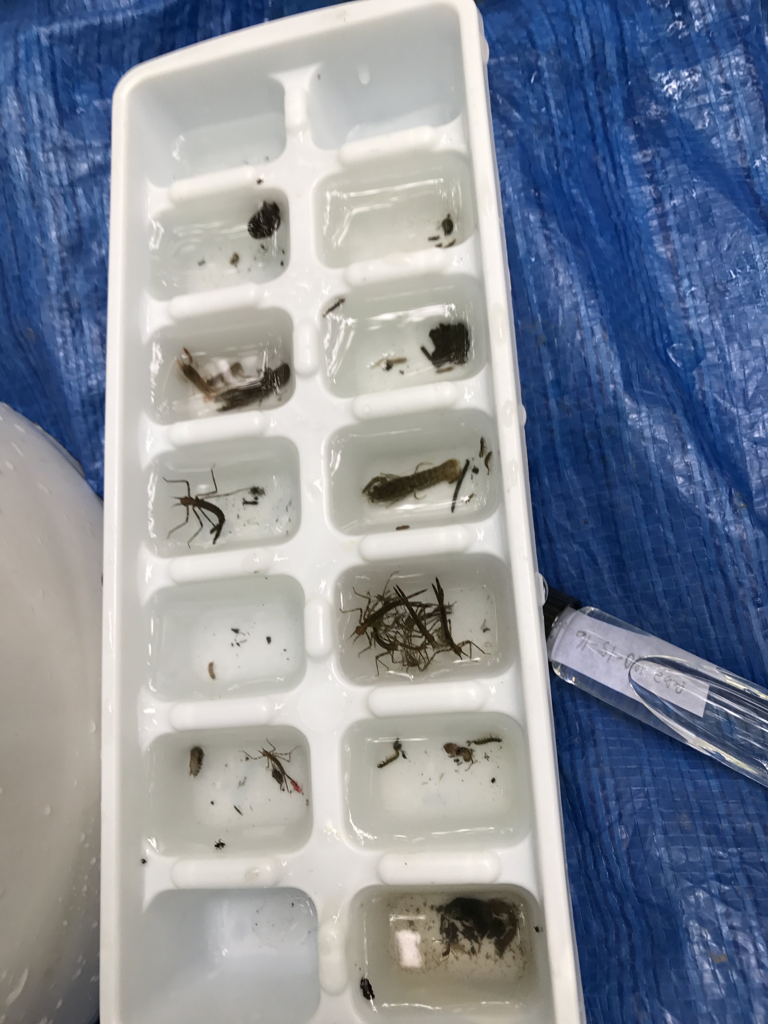 When a crisis affects people’s lives, Forget Politics with these 8 tips!!