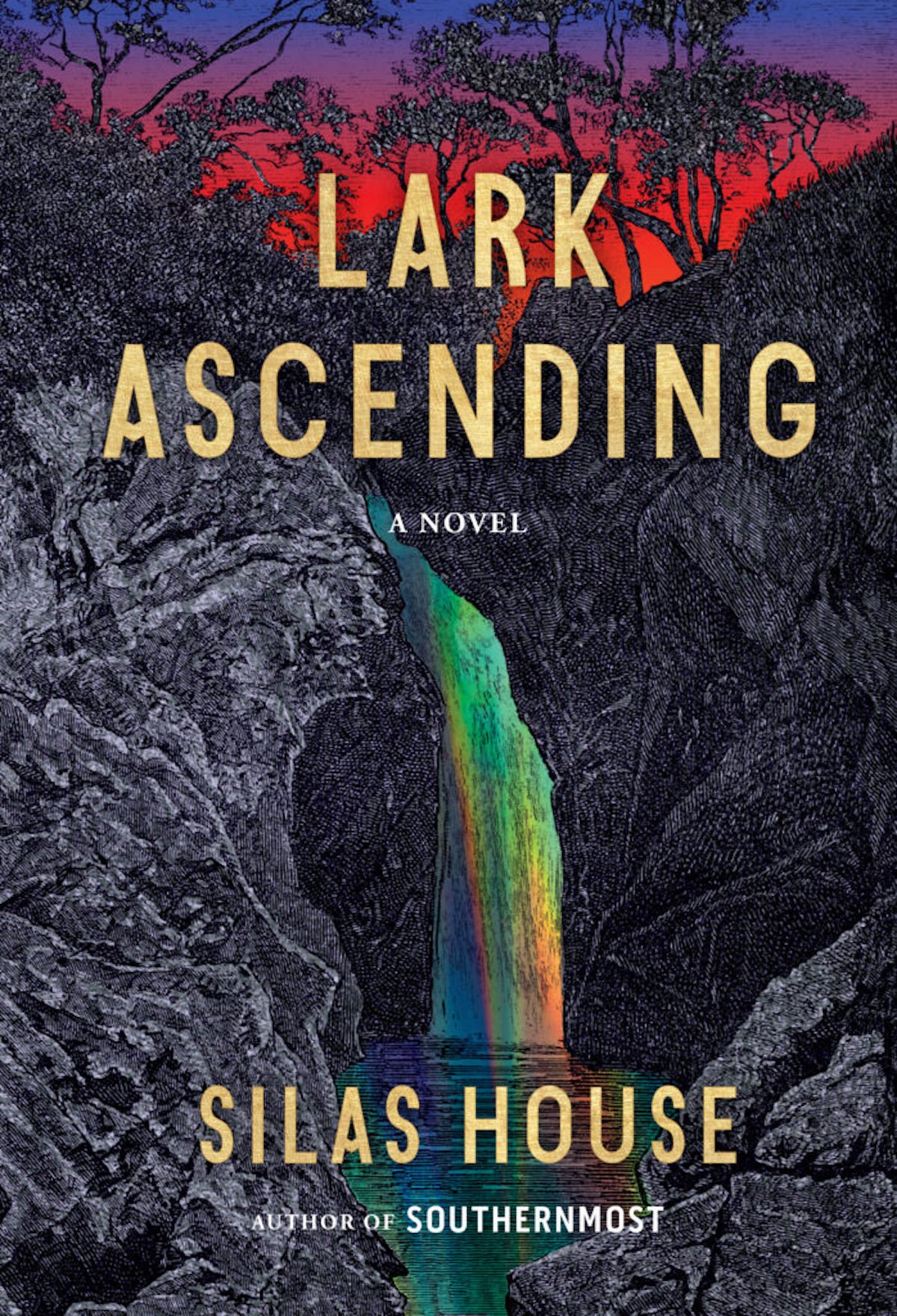 House, Silas LARK ASCENDING .jpeg