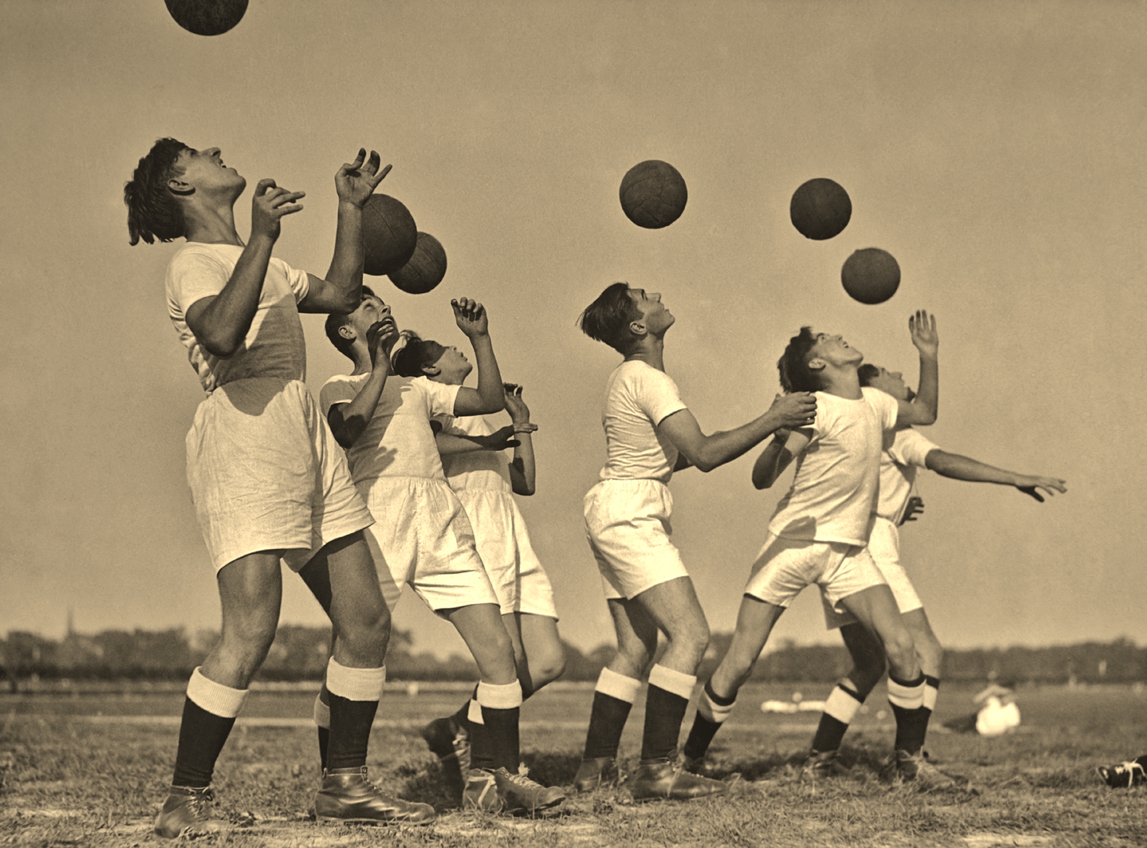 iStock_000018196491_Medium.jpg