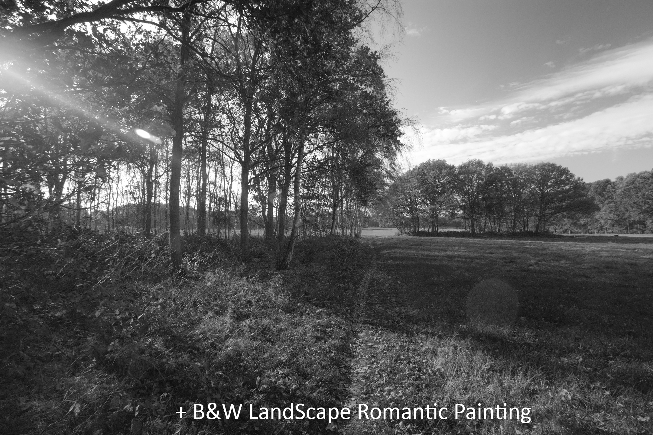 BW LandScape Romantic Painting.jpg