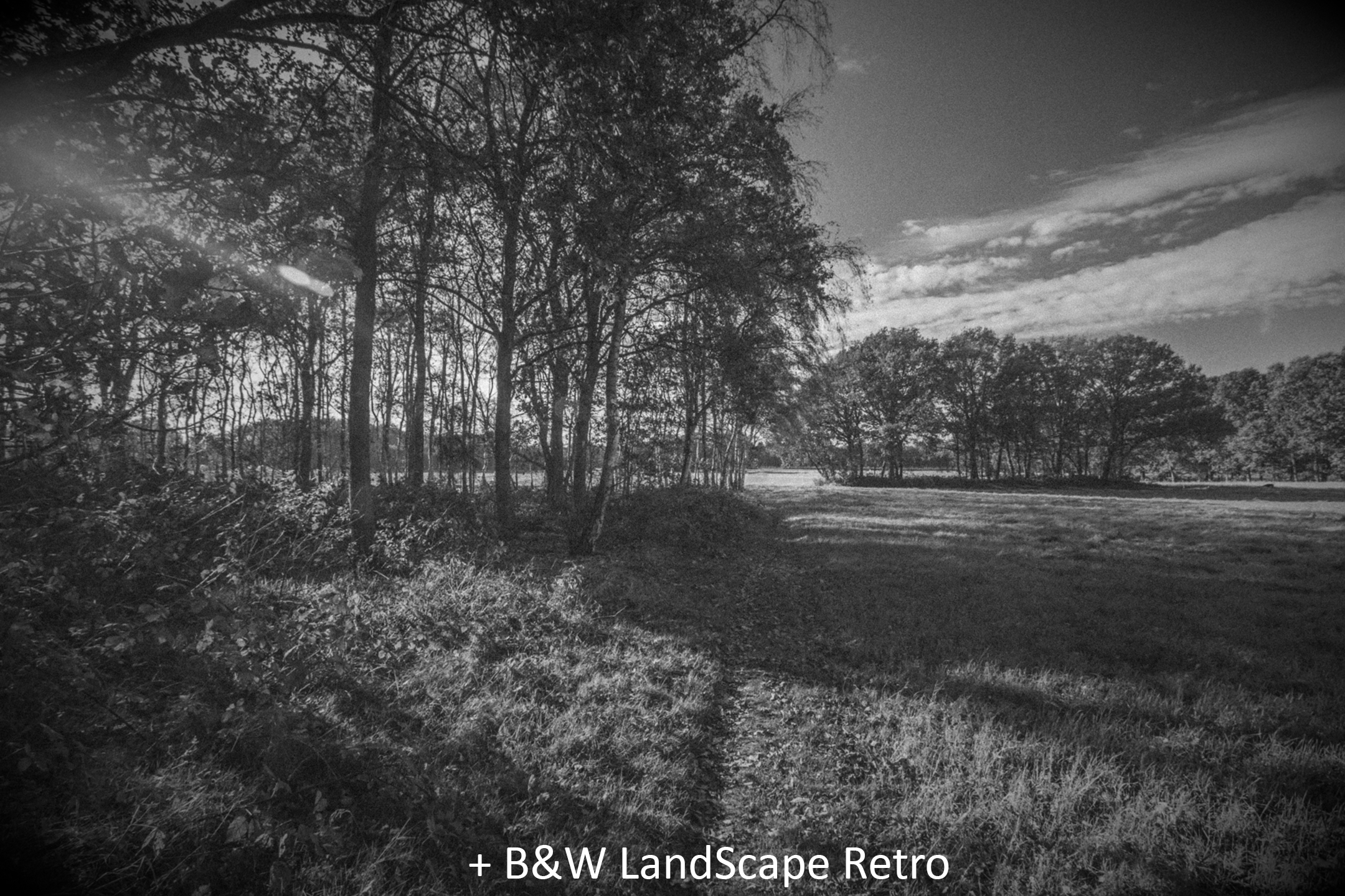 BW LandScape Retro.jpg