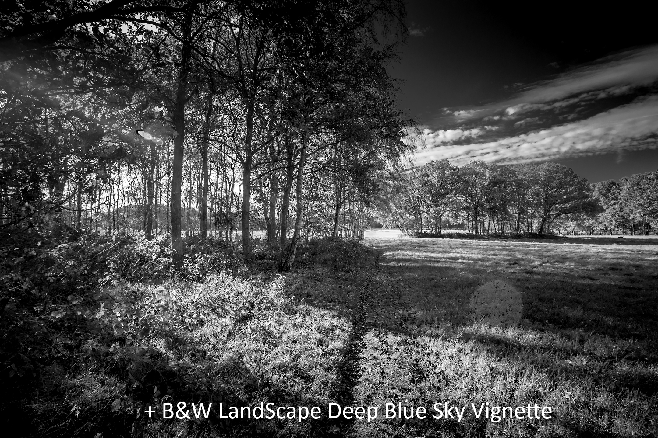 BW LandScape Deep Blue Sky Vignette.jpg