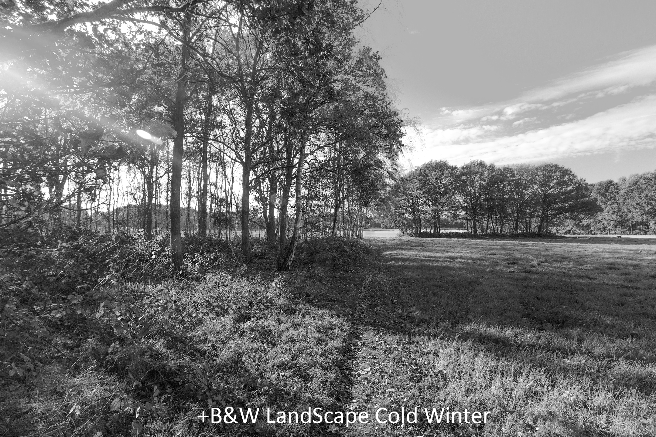 BW LandScape Cold Winter.jpg