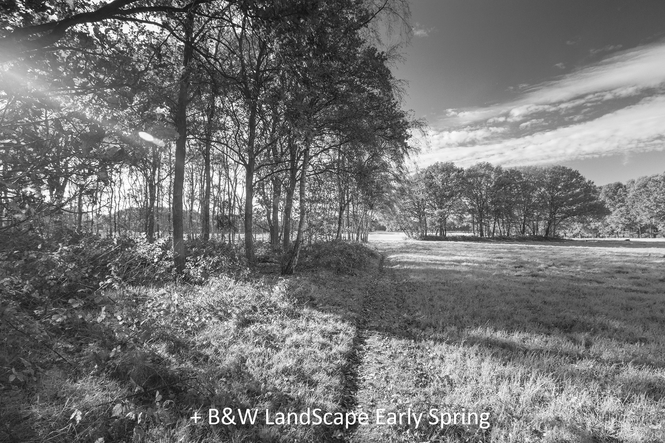 BW LandScape Early Spring.jpg