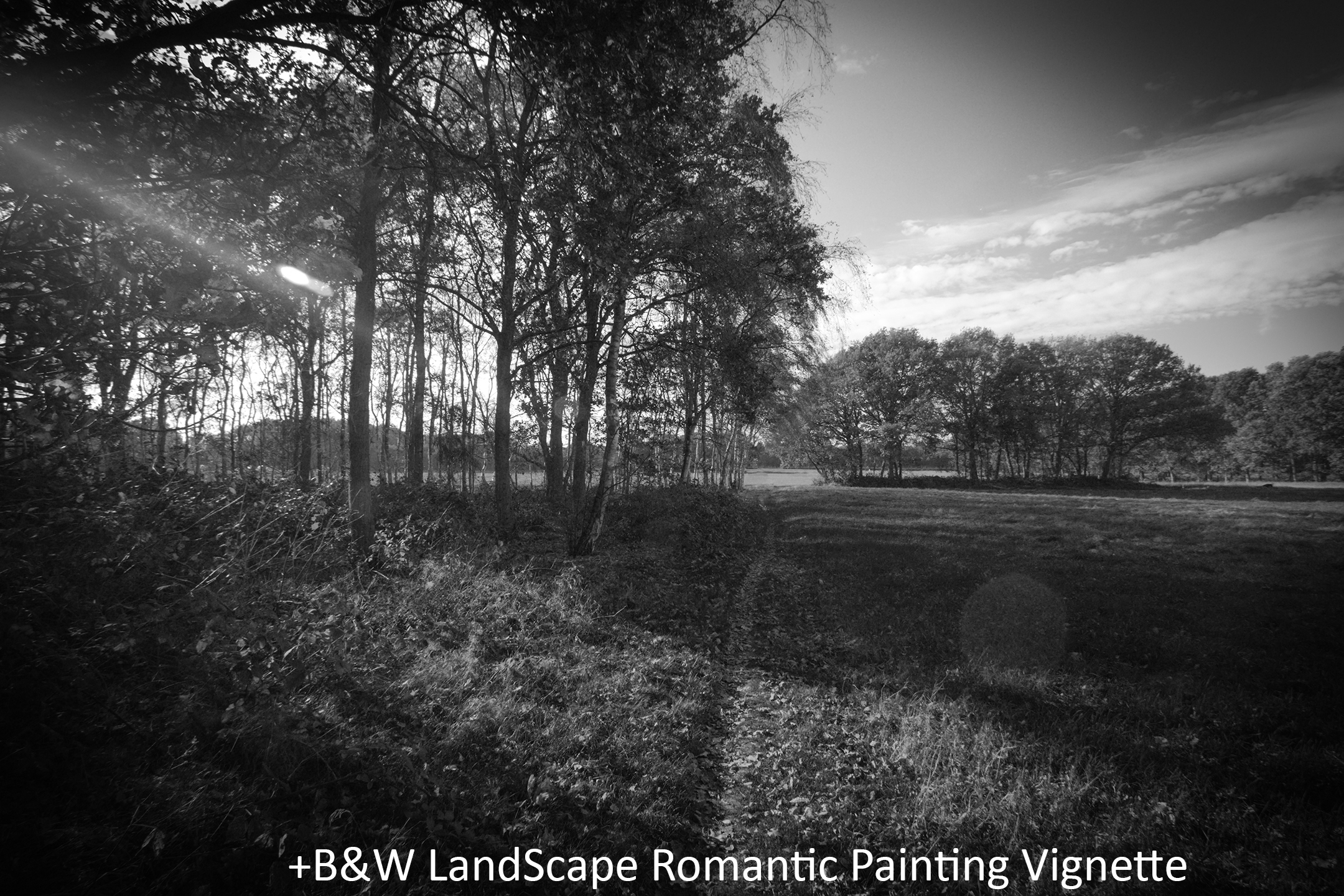 BW LandScape Romantic Painting Vignette.jpg