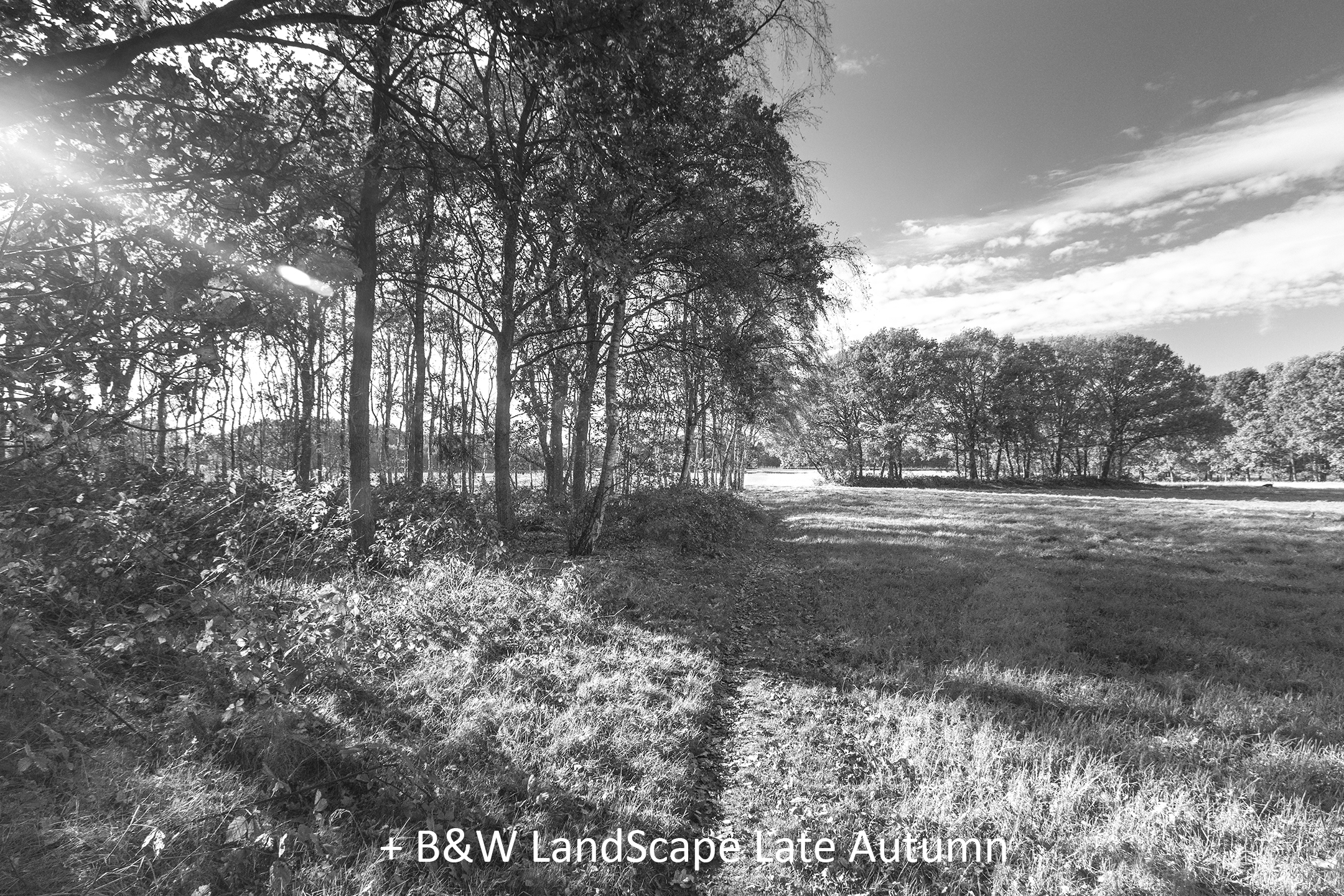 BW LandScape Late Autumn.jpg