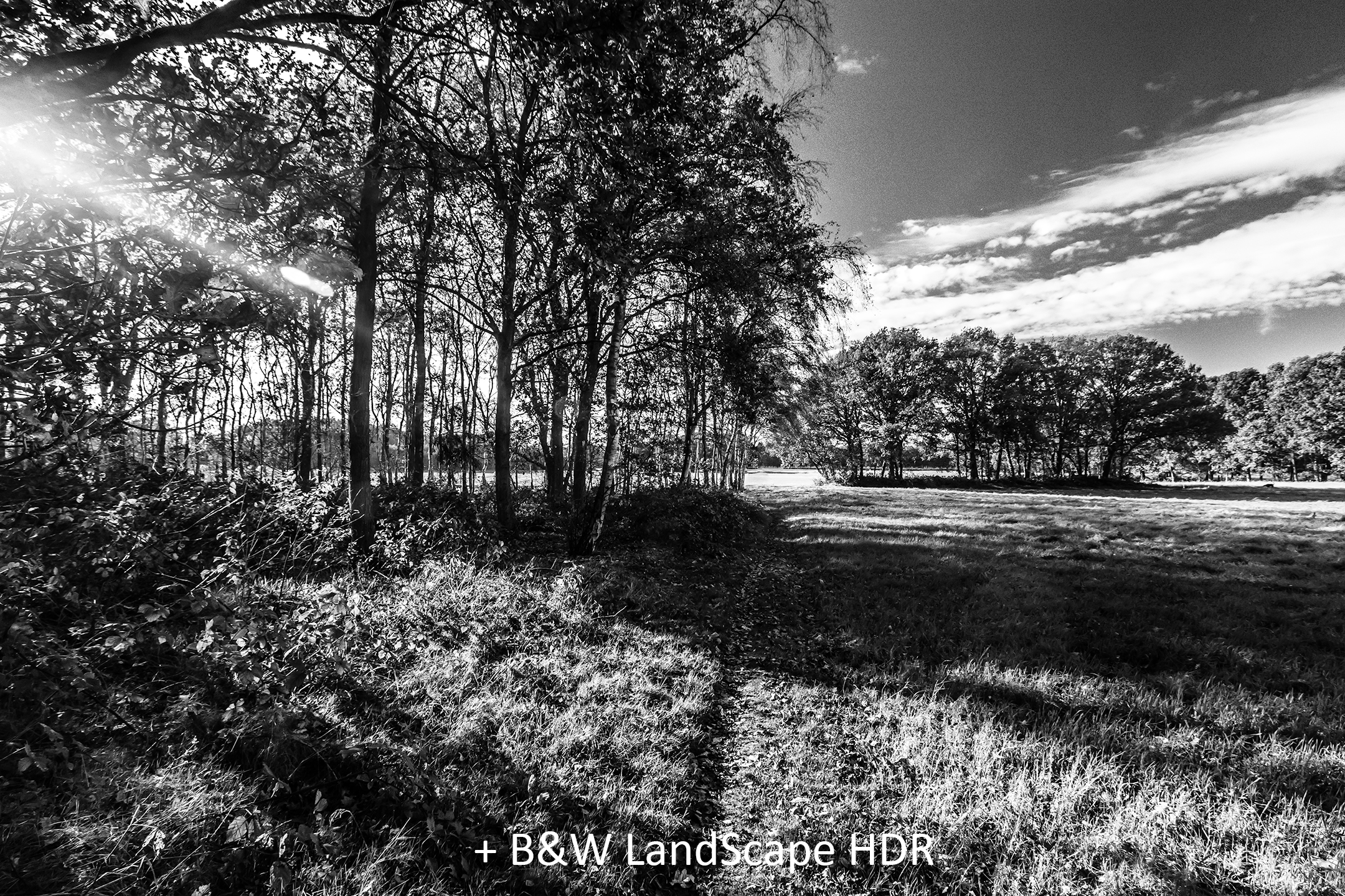 BW LandScape HDR.jpg