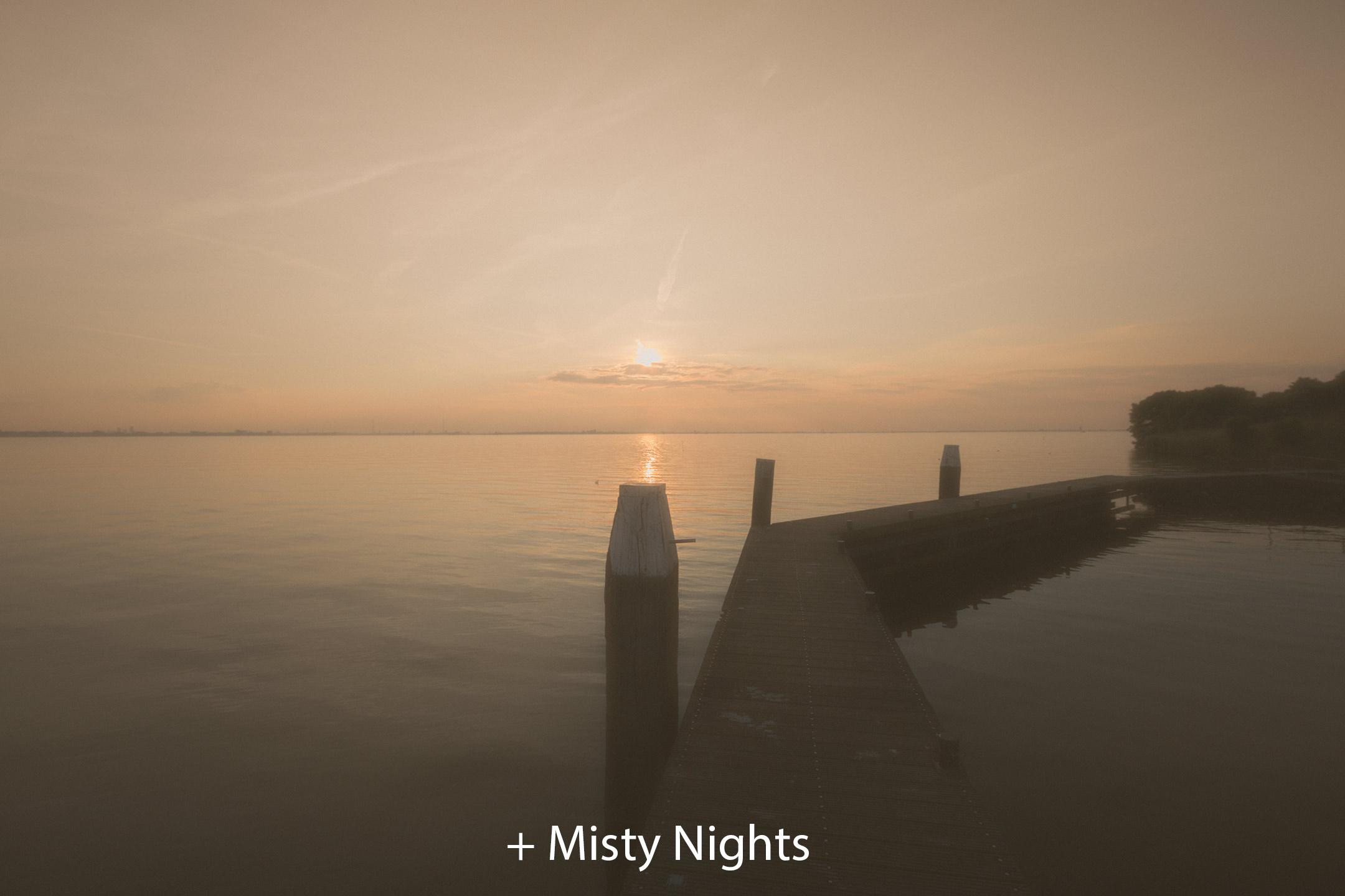 Misty Nights 2.jpg