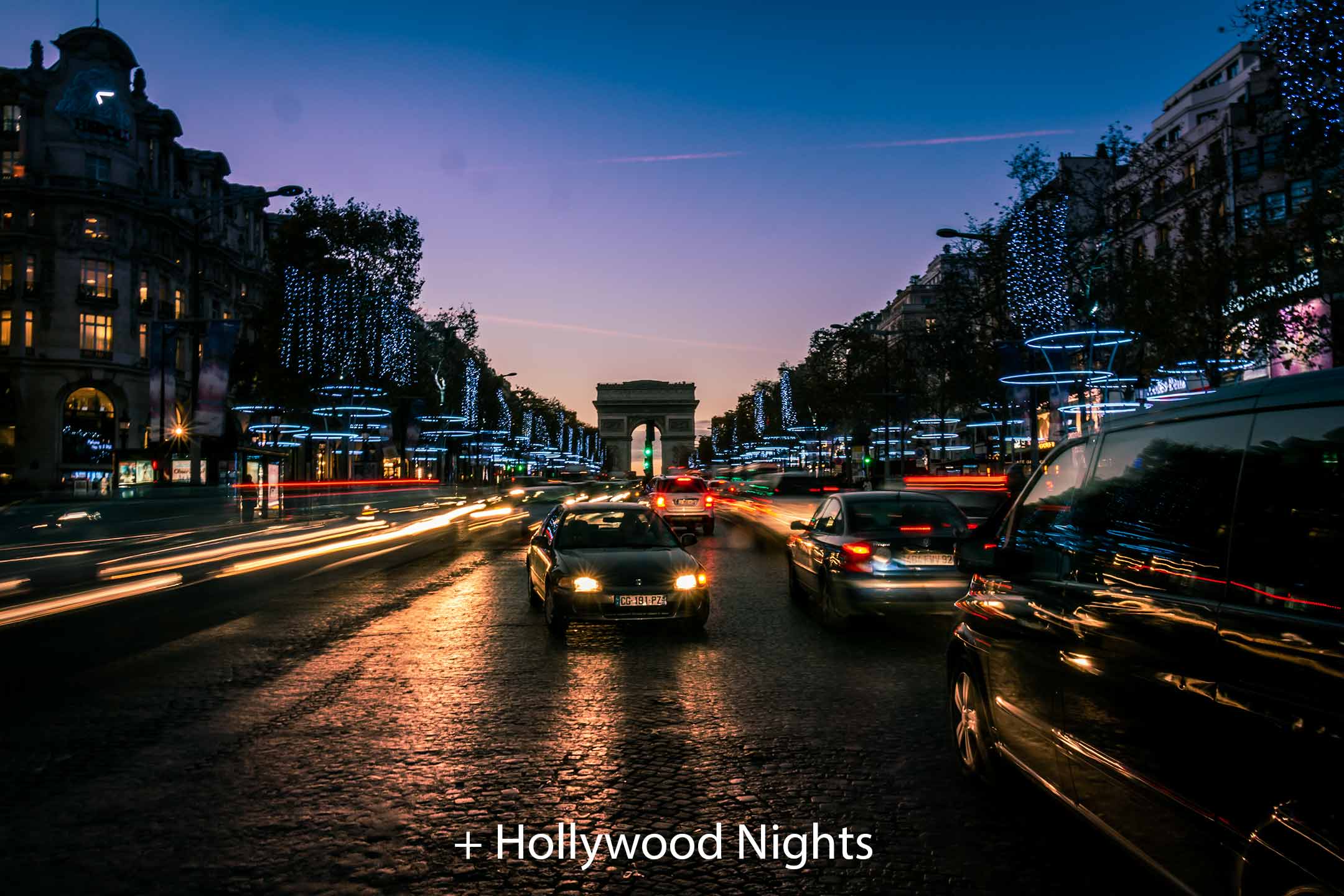 Hollywood Nights 1.jpg