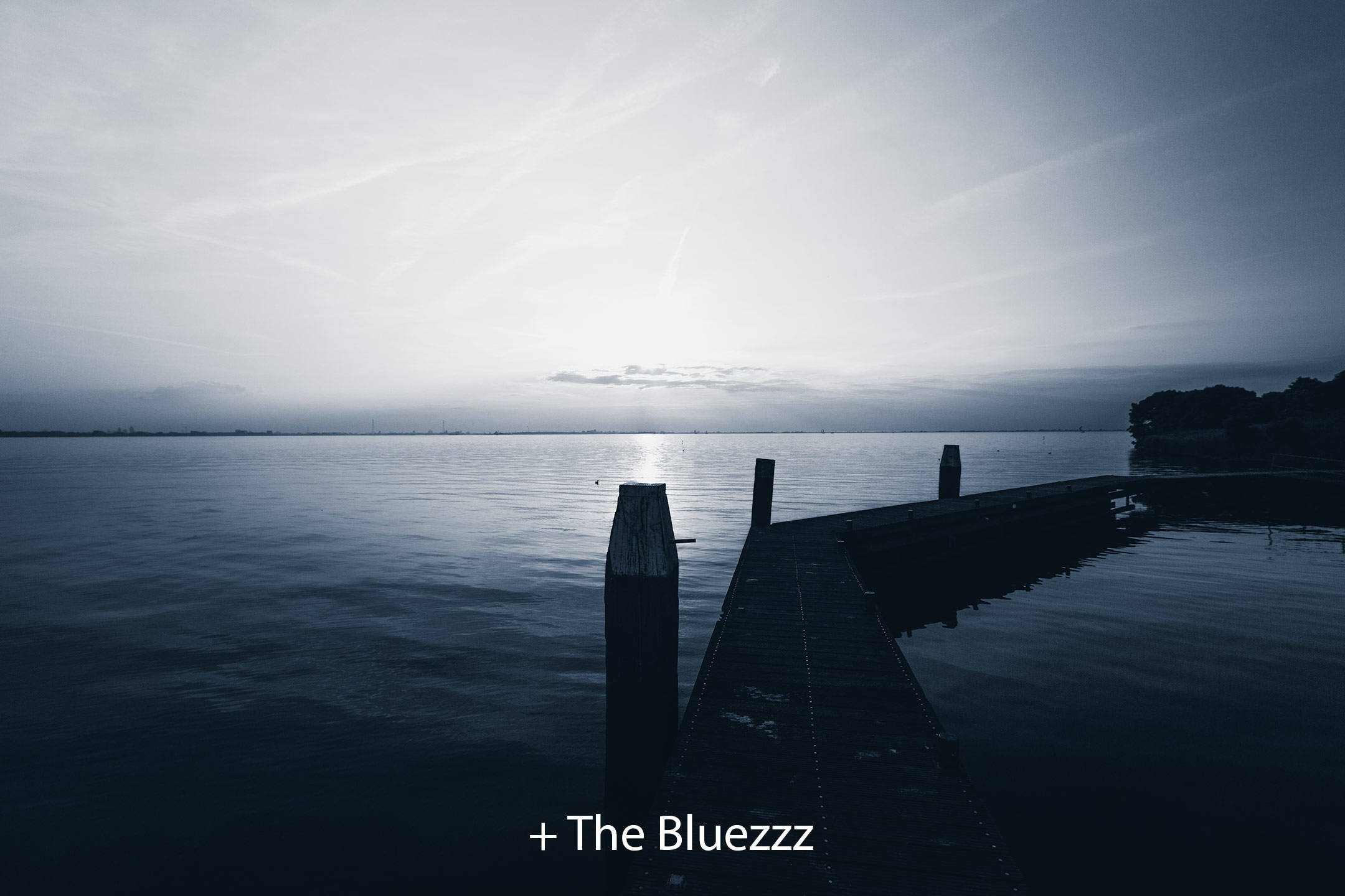 The Bluezzz 2.jpg