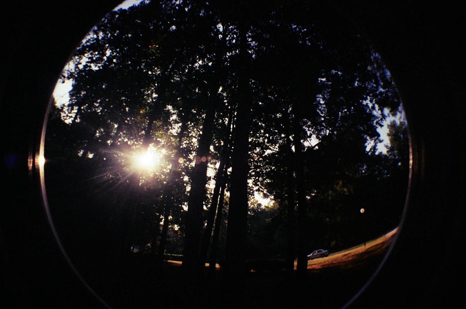 Fisheye2-2.jpg