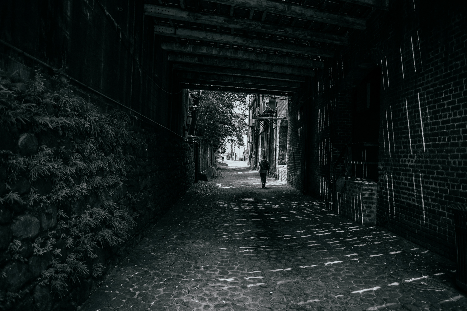 Canon-6D-CamCrunch-7.jpg