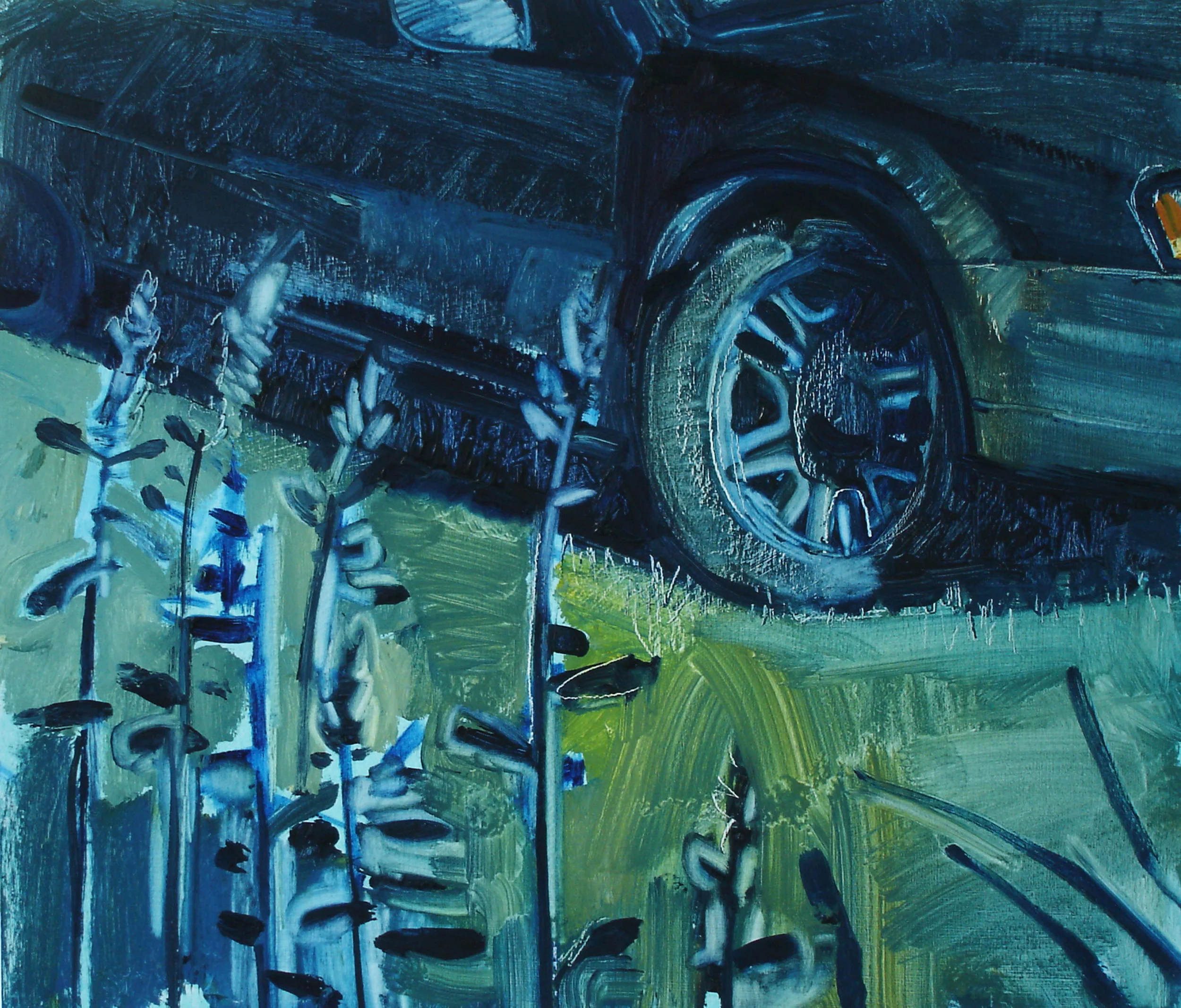 Subaru with Hosta at Night