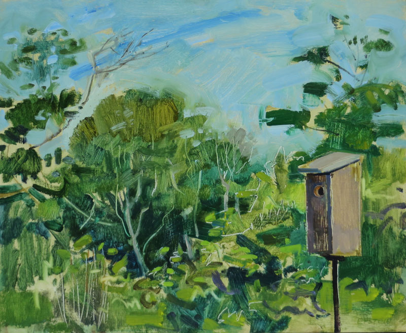 Bluebird Nest Box, July