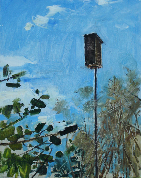 Bluebird Nest Box, April