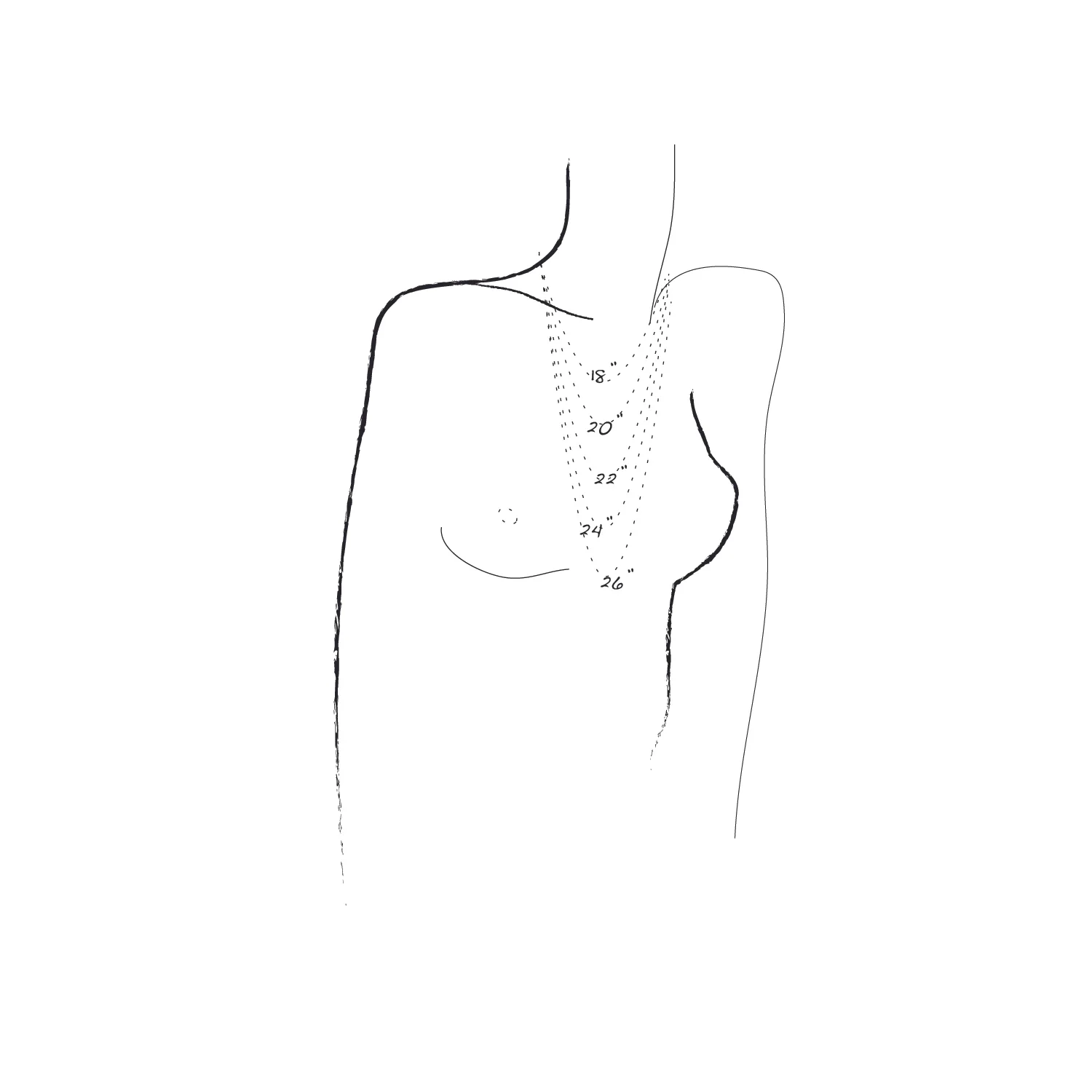 Neck.jpg