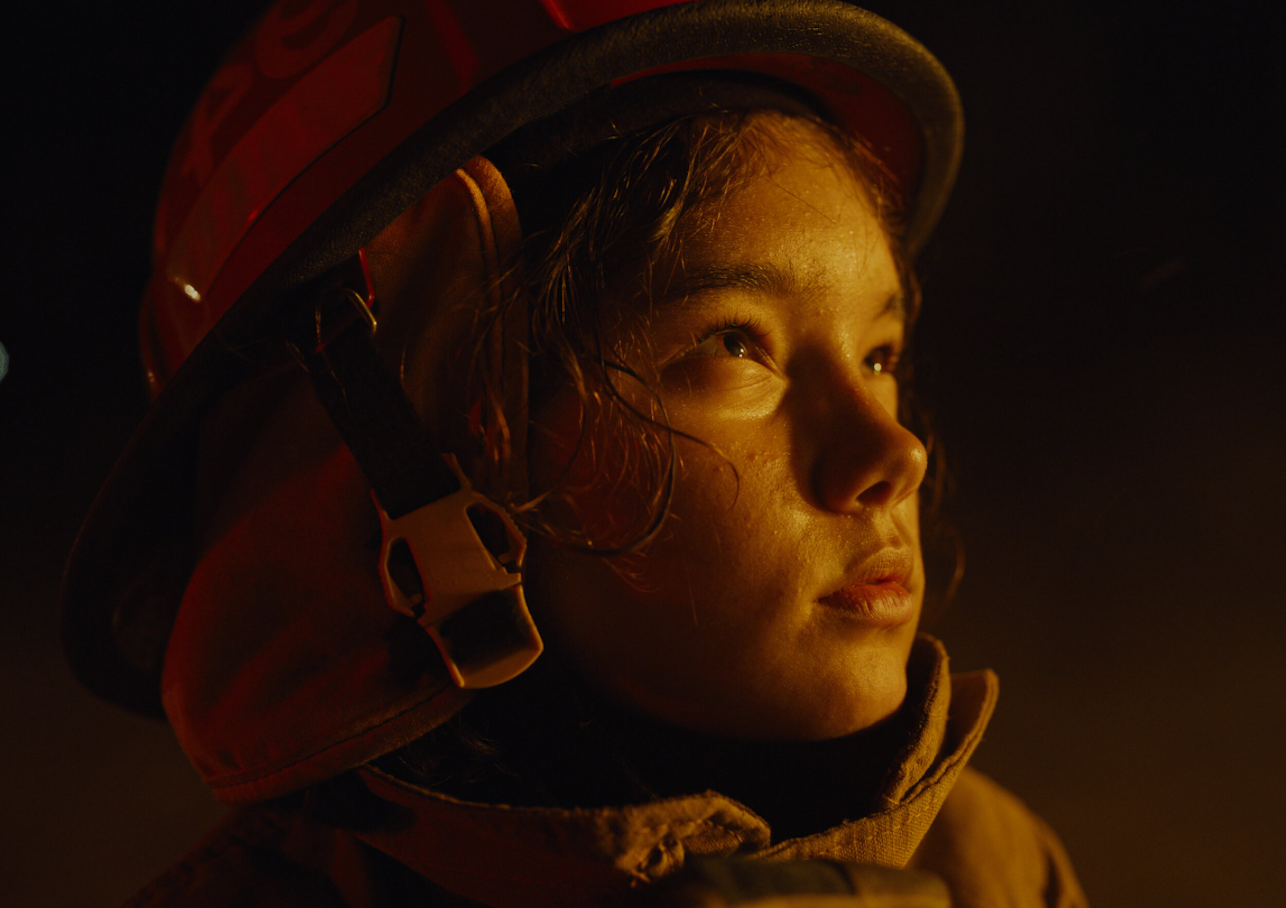 Sequence 02.00_00_35_22.Still049.jpg