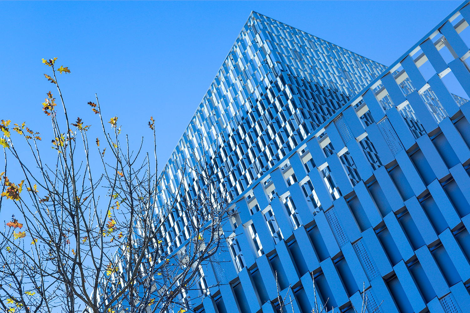 Tobin Center for Performing Arts
