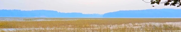 Looking east over Merrymeeting Bay