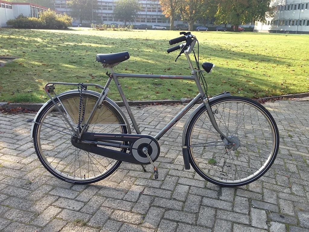 GAZELLE-2.jpg