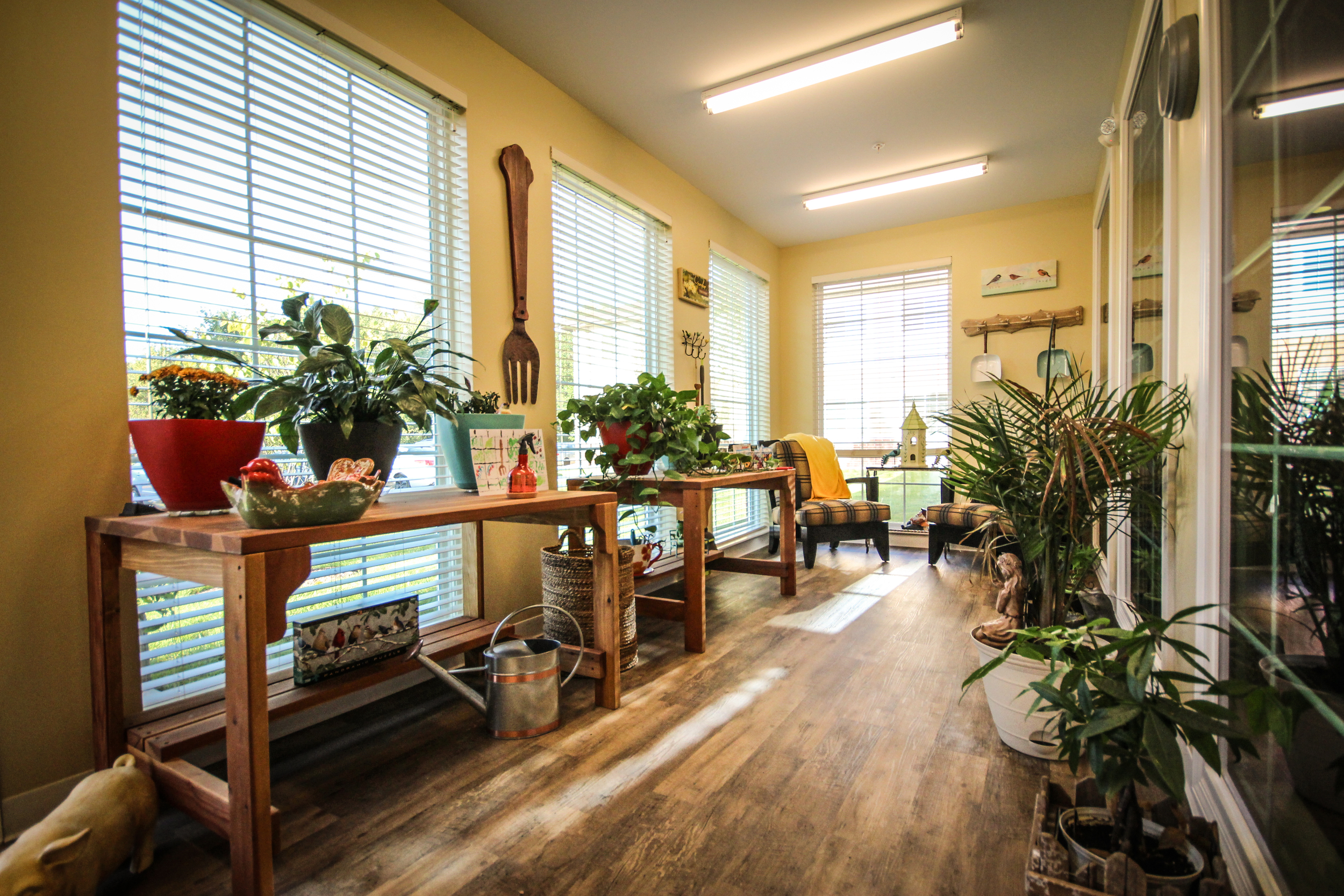Sunlit room with large windows, wooden floor, indoor plants, tables, and decorative items.