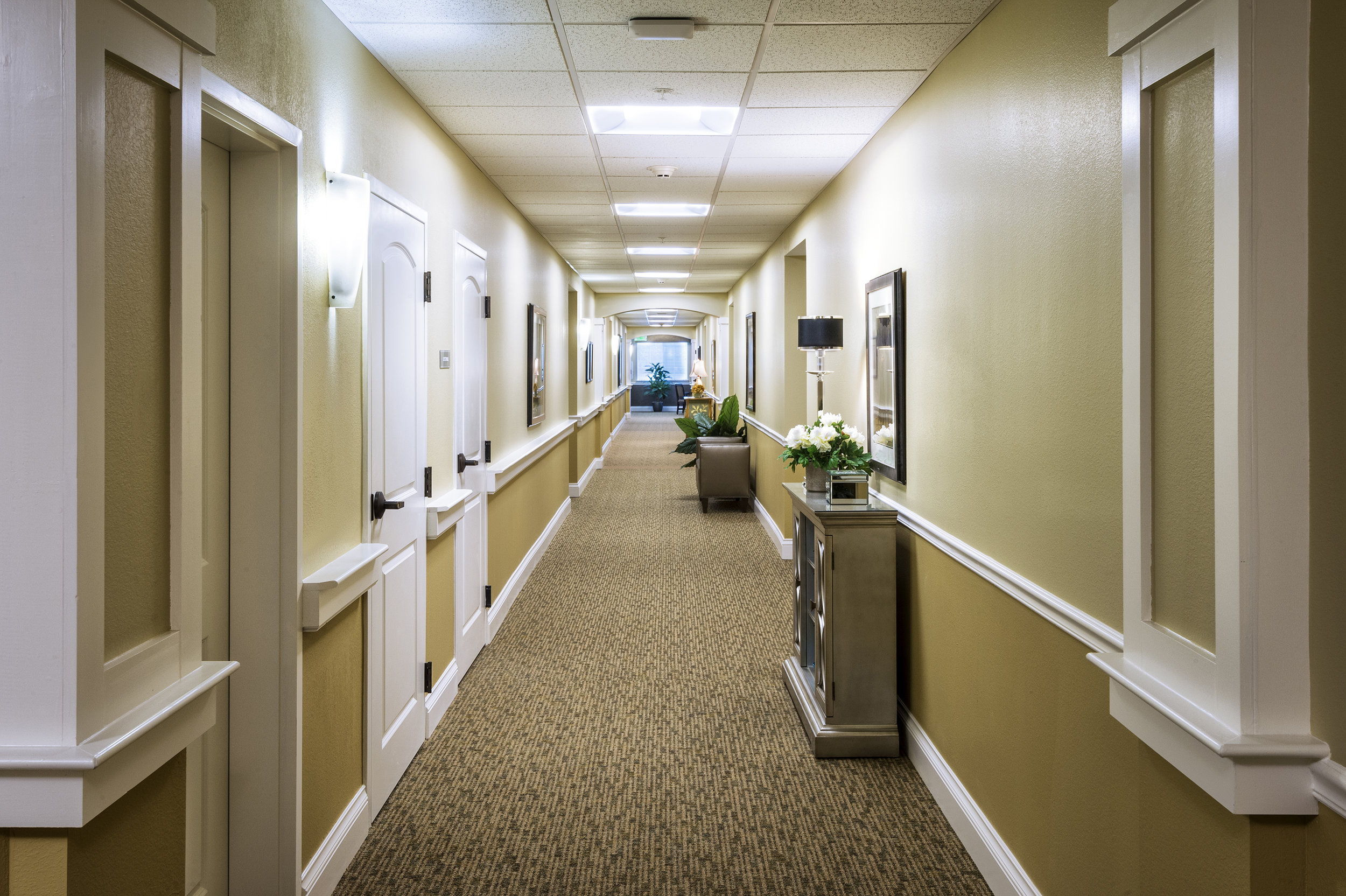 Meadow Brook 2_439.jpg