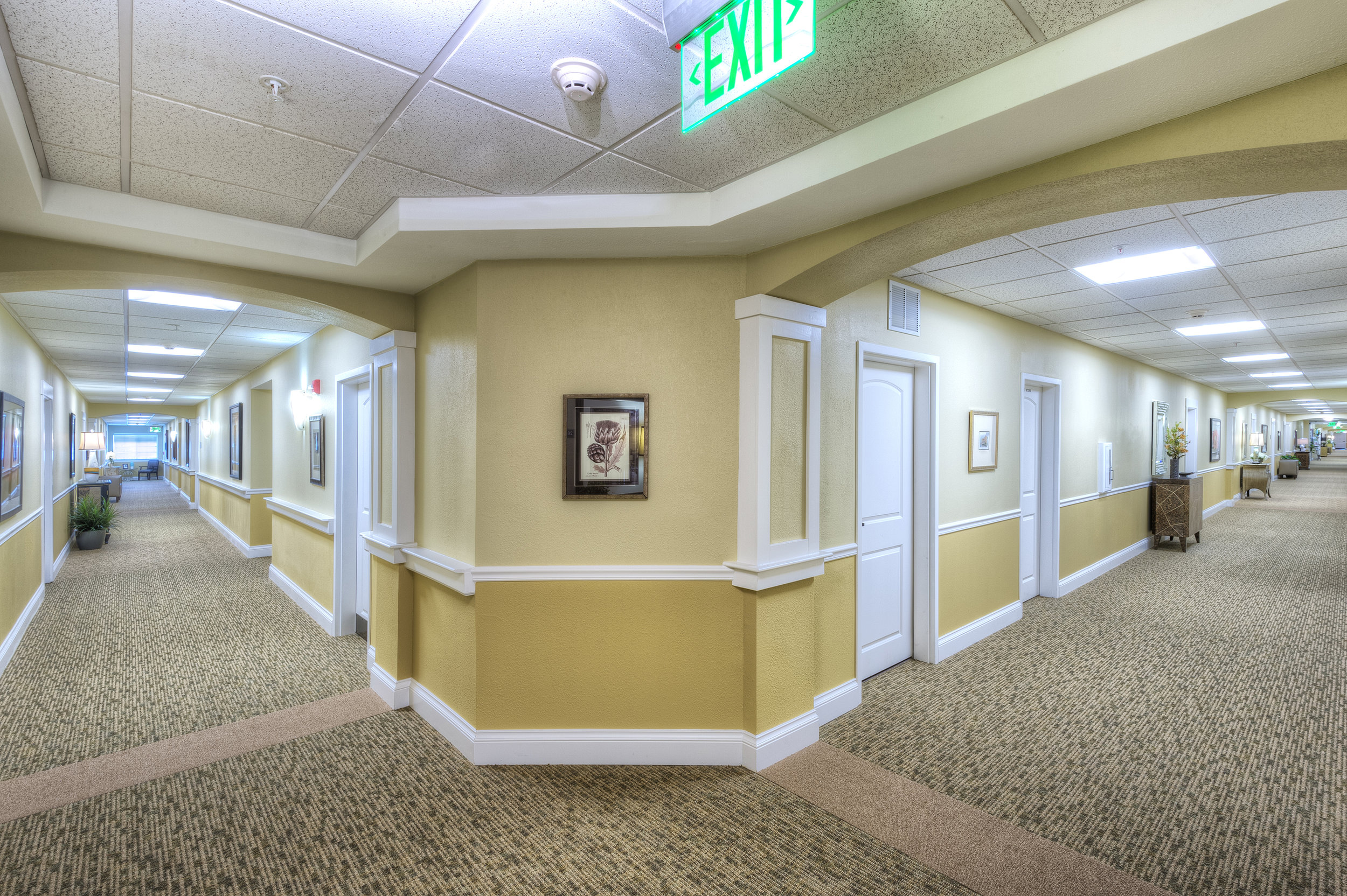 Meadow Brook 2_638t.jpg
