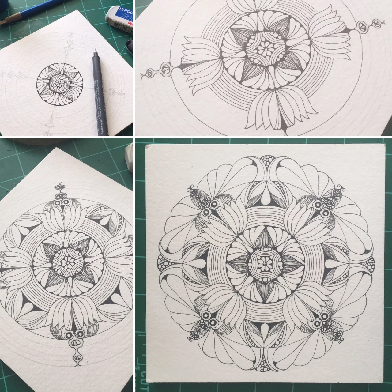 Growing the Seed: From start to finish, using organic shapes such as pods, seeds, petals, leaves, etc. Materials used include mechanical pencils, Staedler fine tip pens (prefer these for their consistent ink flow and reasonable cost), compass and watercolors.