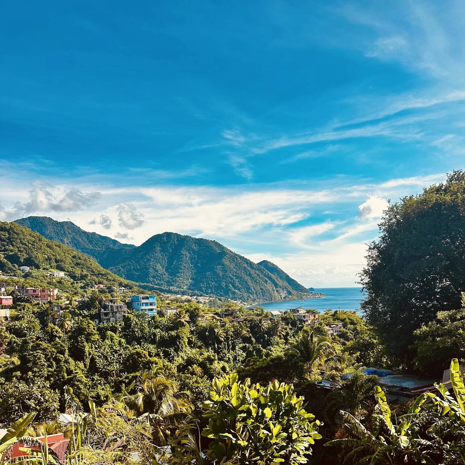 Dominica 2.jpeg
